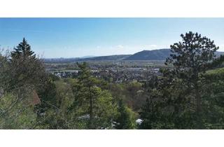 Grundstück zu kaufen in 2103 Langenzersdorf, Baugrundstück mit herrlichem Fernblick (Eigengrund)