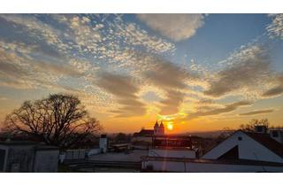 Lager kaufen in 7092 Winden am See, Winden am See - historisches Kellerstöckl im Nordburgenland