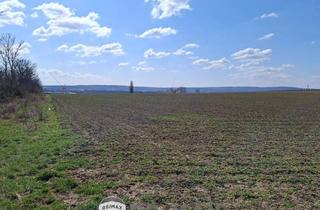 Grundstück zu kaufen in 2460 Bruck an der Leitha, "ATTRAKTIVES GRUNDSTÜCK IN BRUCK AN DER LEITHA"