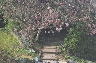 Gewerbeimmobilie kaufen in 8230 Hartberg, Restaurierter Dreikanthof in der Oststeiermark: ländlicher Charme trifft Lebensqualität!