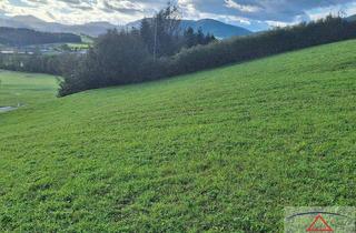 Gewerbeimmobilie kaufen in 8162 Passail, Sonniges Baugrundstück im steirischen Almenland nahe dem Golfplatz!