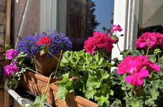 Wohnung kaufen in 6020 Innsbruck, Stilvolle Altbauwohnung in Hötting – Wohnen mit Charme und Weitblick