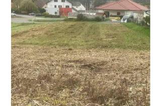 Grundstück zu kaufen in 8345 Krusdorf, Nicht dichter, sondern richtiger!