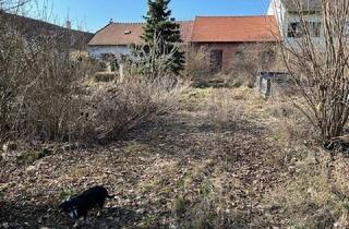 Haus kaufen in 3714 Sitzendorf an der Schmida, Landhäuschen im Ausbau
