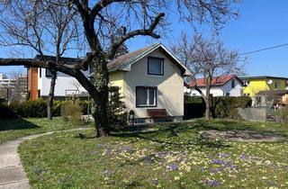 Haus mieten in Ruthnergasse 68 Parz. 69, 1210 Wien, Gartenparadies mit Kleingartenhäuschen - NICHT zur ganzjährigen Nutzung