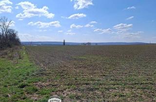 Grundstück zu kaufen in 2460 Bruck an der Leitha, "ATTRAKTIVES GRUNDSTÜCK IN BRUCK AN DER LEITHA"