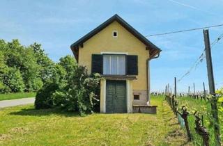 Immobilie kaufen in Bergstraße, 7474 Eisenberg an der Pinka, Kellerstöckl mit eigenem Weingarten am Eisenberg