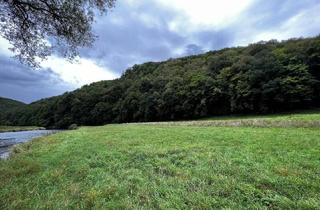 Grundstück zu kaufen in 2081 Niederfladnitz, 400 ha Eigenjagd mit Schwarzwildjagd