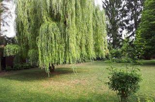 Wohnung mieten in Edmund Eyslergasse, 2000 Stockerau, Erholung - Charmante Wohnung für Ruhesuchende nach einem stressigen Tag