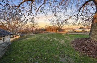 Grundstück zu kaufen in 2042 Guntersdorf, Bauen Sie Ihr Wohndomizil im Weinviertel – Grundstück mit Bauland-Agrar-Widmung, Presshaus und Keller!