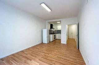 Wohnung mieten in Hütteldorfer Straße, 1140 Wien, Erstbezug nach Renovierung! Attraktive Garçonnière Nähe Hütteldorfer Straße