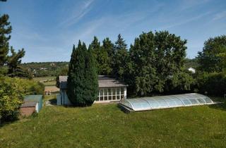 Grundstück zu kaufen in Kirchenweg 41, 2102 Hagenbrunn, Projektchance am Bisamberg: Baugrund + Grünland