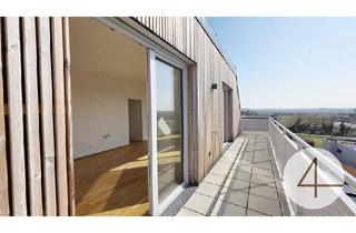 Wohnung kaufen in 3470 Kirchberg am Wagram, Wow - der Wohnbereich ist der HAMMER