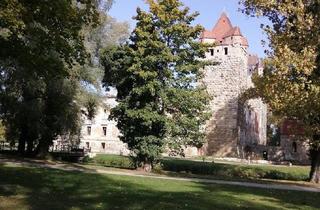 Wohnung mieten in Bahnhofstraße 25, 2486 Pottendorf, Im Schloß wohnen...............geht nicht da Ruine, aber Neubau nahe Schlosspark