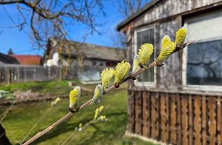 Einfamilienhaus kaufen in 3822 Goschenreith, Ein Garten zum Verlieben - Familienglück im Grünen