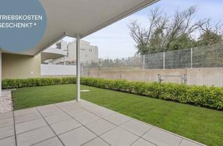 Anlageobjekt in Färberstraße 7, 2540 Bad Vöslau, OSTERAKTIONI! Provisionsfreie, geschmackvoll gestaltete 3-Zimmer-Gartenwohnung | Terrasse | Abendsonne