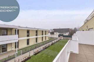 Anlageobjekt in Färberstraße 15, 2540 Bad Vöslau, OSTERAKTION! Provisionsfreie 3-Zimmer-Wohnung mit Rundum-Dachterrasse | Zugang von jedem Raum | Großzügig geschnitten