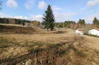 Grundstück zu kaufen in 4184 Köckendorf, Großzügiges Grundstück mit Entwicklungspotenzial - ideal für Eigenheim & Bauträger"