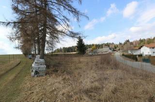 Grundstück zu kaufen in 4184 Köckendorf, Großzügiges Grundstück mit Entwicklungspotenzial - ideal für Eigenheim & Bauträger"