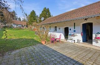 Bauernhäuser zu kaufen in 2014 Hollabrunn, Traditionelles Bauernhaus mit großem Grundstück, Weinpresshaus, Keller und Nebengebäuden!
