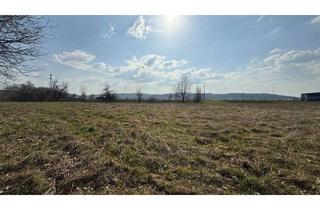 Grundstück zu kaufen in 7535 Rauchwart, Großzügiges Grundstück ohne Bauzwang – Ideal für Gewerbe & Investoren