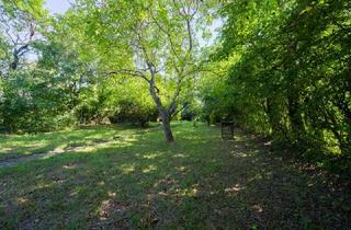 Grundstück zu kaufen in 2372 Gießhübl, Seltene Gelegenheit – Exklusives Baugrundstück in Gießhübl