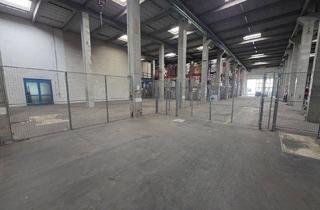 Büro zu mieten in 2301 Groß-Enzersdorf, Vielseitige Lagerfläche nahe Wien