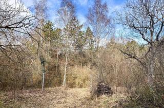 Grundstück zu kaufen in 2551 Enzesfeld-Lindabrunn, Grundstück in Waldrandlage