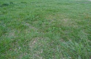 Grundstück zu kaufen in 7024 Hirm, 7024 Hirm sehr interessantes 4400m² Bauträgergrundstück !