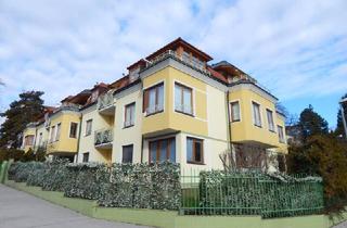 Wohnung mieten in Kaasgrabengasse, 1190 Wien, Sanierte Dachterrassenwohnung mit Fernblick in der Kaasgrabengasse