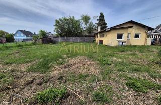 Grundstück zu kaufen in 2230 Gänserndorf, Raum für Neues: Grundstück mit Altbestand und viel Potenzial