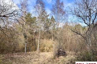 Grundstück zu kaufen in 2551 Enzesfeld-Lindabrunn, 2061 m2 großer Traumgrund in Waldrandlage