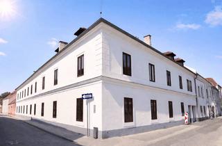 Wohnung kaufen in Lederergasse, 2700 Wiener Neustadt, Top 2-Zimmer Altbauwohnung im Herzen von Wr.Neustadt