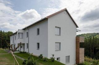 Wohnung mieten in Schönau 126/2, 8225 Pöllau, GARTENWOHNUNG mit Küche und Carport-Parkplatz zu vermieten - geförderte Miete - 2 Zimmer