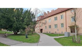 Wohnung mieten in Paradisgasse 30, 1190 Wien, Ideale Single/Startwohnung