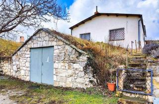 Haus kaufen in 7083 Purbach am Neusiedler See, Traditionelles Presshaus mit Wohnbereich in Purbach am Neusiedler See