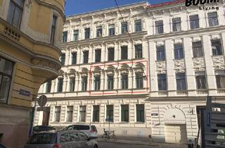 Wohnung kaufen in Kutschkermarkt, 1180 Wien, Lichtdurchflutete Altbauperle beim Kutschkermarkt – 3 Zimmer mit besonderem Flair