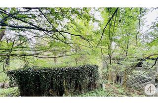 Grundstück zu kaufen in 3013 Pressbaum, Baugrundstück in herrlicher Ruhelage - vor den Toren Wiens - grüner Weitblick übers Tal - gut bebaubar