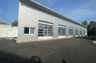 Büro zu mieten in Ziegelofengasse, 2544 Leobersdorf, Neue LAGERHALLEN mit Sektionaltor - Leobersdorf