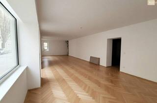 Lager mieten in Erzherzog Rainer-Ring, 2500 Baden, Geschäftslokal - frequentiert & gut Sichtbar - Nähe Casino Baden