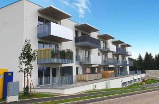 Wohnung mieten in Hauptstraße 4/24, 4432 Ernsthofen, barrierefreie Wohnung in Ernsthofen