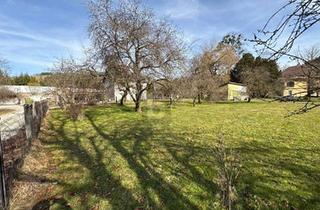 Grundstück zu kaufen in 3341 Ybbsitz, EBEN NAHE WAIDHOFEN/YBBS - MIT BADEPLATZ IN GEHWEITE