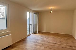 Wohnung kaufen in Schäffergasse, 1040 Wien, Wohnen am Rande des beliebten Freihausviertels - 1-Zimmer-Wohnung mit moderner Ausstattung