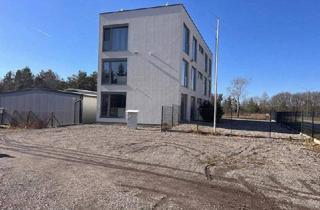 Gewerbeimmobilie mieten in Hochstrass, 3033 Klausen-Leopoldsdorf, Lagerplatz mit perfekter Verkehrsanbindung zur A1 und A21