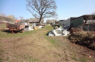 Grundstück zu kaufen in 7374 Weingraben, GROSSES, LEISTBARES GRUNDSTÜCK MIT STADL!