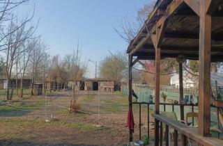  in Hasswellgasse 900, 1210 Wien, Grundstück ideal für Pferdehaltung 1210Wien PACHT