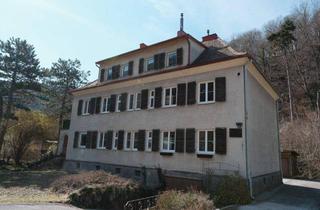 Wohnung kaufen in 2371 Hinterbrühl, 3 Zimmer Gartenwohnung direkt am Mödlingbach