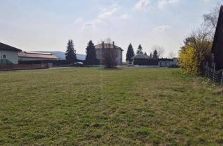 Grundstück zu kaufen in 3062 Kirchstetten, FAST EBENE, SONNIGE BAUGRUNDSTÜCKE IN RUHIGER DORFLAGE