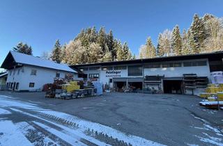 Grundstück zu kaufen in Schorn 20, 5441 Abtenau, Gewerbestandort mit Hallen u Freifläche - ehemaliger Baustoffhandel - 10.995m2 - in 5441 Abtenau maklerlfrei