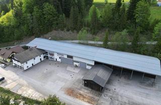 Grundstück zu kaufen in Schorn 20, 5441 Abtenau, Gewerbestandort mit Hallen u Freifläche - ehemaliger Baustoffhandel - 10.995m2 - in 5441 Abtenau maklerlfrei